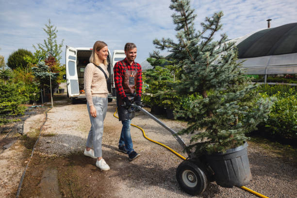 Wailua, HI Tree Care Services Company